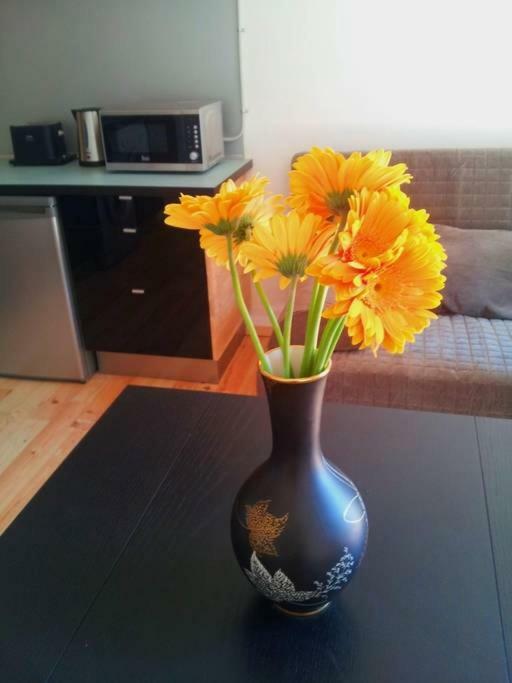 Lovely Double Apartment - Sagrada Familia Barselona Dış mekan fotoğraf